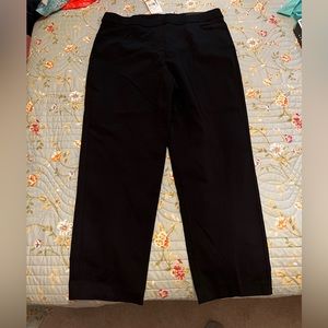 Alfred Dunner allure super stretch slimming pants.